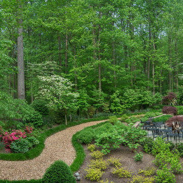 Retaining Wall and Winding Path in the Forest