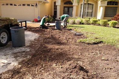 This is an example of a modern landscaping in Tampa.
