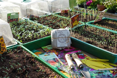 Hydrating Seeds to Enhance Germination
