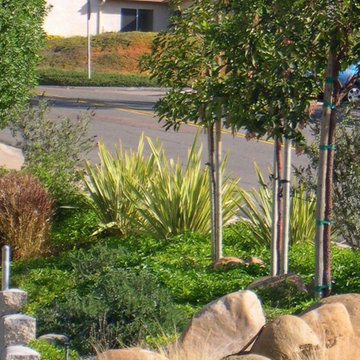 New planting and boulders screen a busy street.