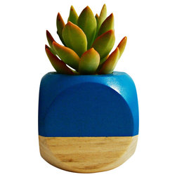 Contemporary Indoor Pots And Planters Geometric Succulent Cactus Planter, Teal