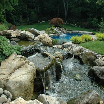 Backyard Water Features