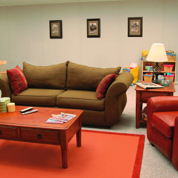 Basement Finishing Ideas