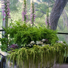 planters