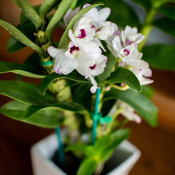 Miniature Garden Design
