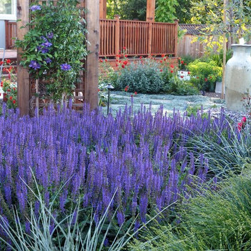Water Features