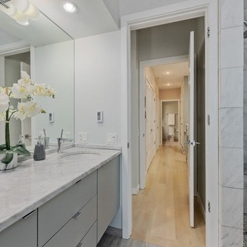 LEED Platinum Chicago Rowhome