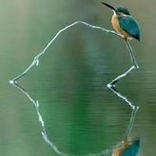 Cheryl Bales Walkerさんの写真