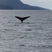 Teri Heatwole's photo