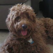 Leslie Feldman's photo