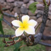 Leslie Rice's photo
