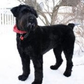 Danielle Umbriaco's photo