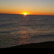 Fran Volosevich's photo