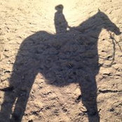 Cheri Brown's photo