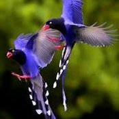 Brenda Hardin's photo