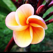 Nadia Q's photo