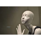 Sidonia Katona's photo