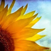 leslie mcnulty's photo