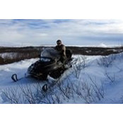 Vadim Orlov's photo