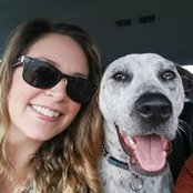 Stephanie Strausbaugh's photo