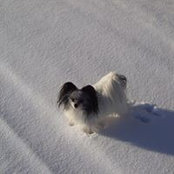 Foto von Ruth Wattenhofer