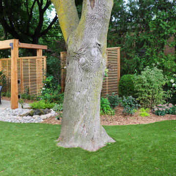Backyard Oasis in Upper Forest Hill