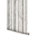 Accentuwall - Birch Tree Peel and Stick Vinyl Wallpaper, Warm Gray, 24" X 60" - Reminiscent of a lakefront cabin view of the forest’s edge, our Birch Tree Peel-and-Stick Wallpaper brings the outdoors in. This woodland backdrop is ideal for living rooms, bedrooms, nurseries, or any other space where you’d like a modern and natural design.