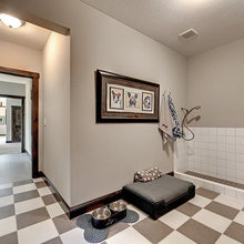 Dog Toilet