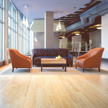 Teragren Bamboo Flooring