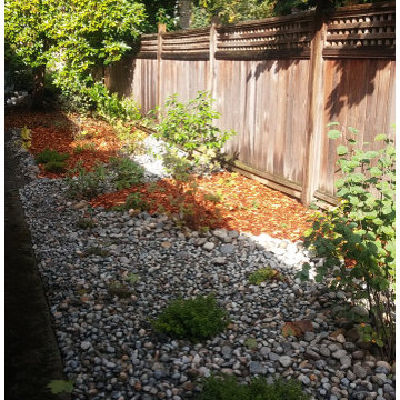 Shade Gardens