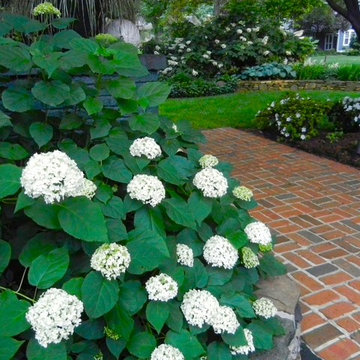 White Garden