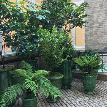 La cour aux jarres à huile