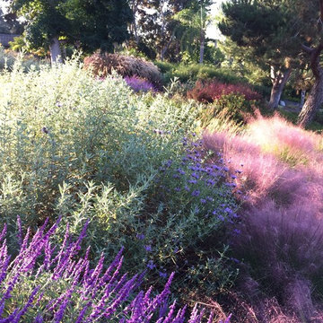 Monarch Sanctuary