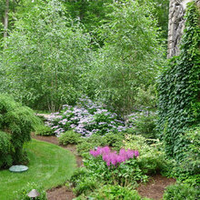garden ideas