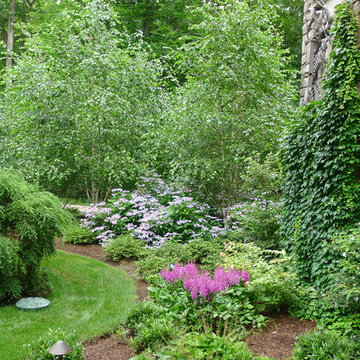 Beautiful Gardens