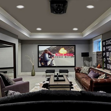 West Suburban Chicago Home Theater / Media Room