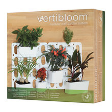 Plants