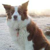 Carol Scaife's photo