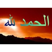 Sara Irfan's photo