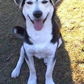 Photo de Daniela Vernacotola