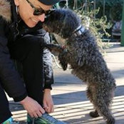 Betsy Hamilton's photo