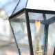 Lantern & Scroll Lantern & Scroll