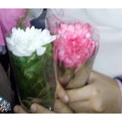 Heba Abdeldaim's photo