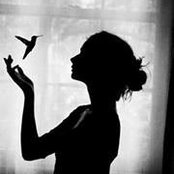 Saly Samihさんの写真