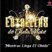 Estrellas Mataさんの写真