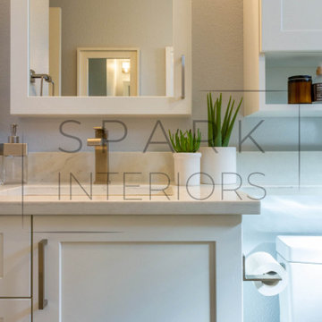 Brighton Bathroom Remodel