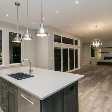 Modern/Contemporary Home