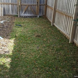 Artificial grass service in Orlando - Products