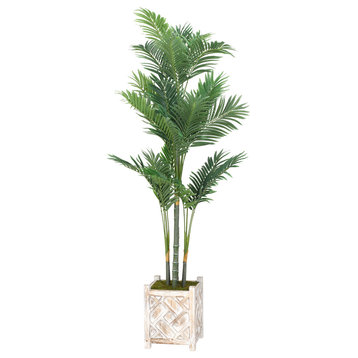 Golden Palm Tree, Square Wooden Planter