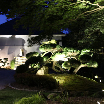 A most Unique Property with some Specimen Plant materials over 100 years old